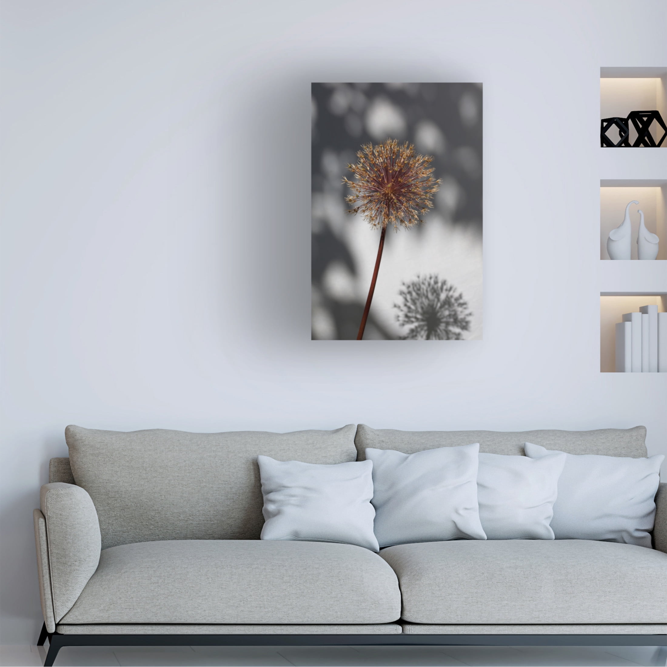 Trademark Fine Art Pictufy Studio Withered Flower, Seed House 1 Canvas Wall Art