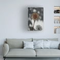 thumbnail image 3 of Trademark Fine Art Pictufy Studio Withered Flower, Seed House 1 Canvas Wall Art, 3 of 4