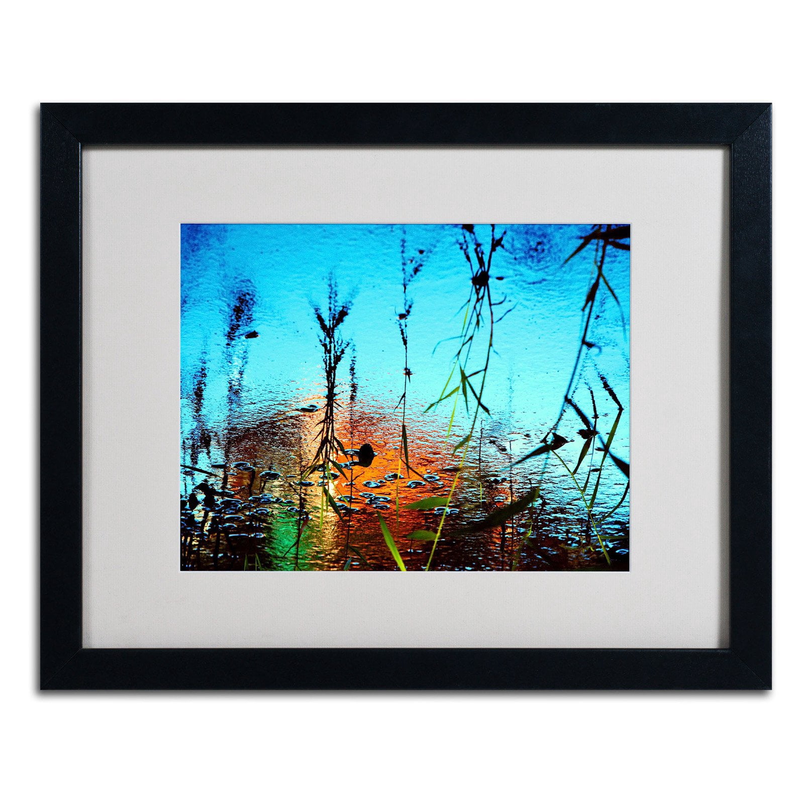 Trademark Fine Art "Painted by Nature" Framed Canvas Art by Beata Czyzowska Young