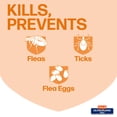 thumbnail image 2 of Hartz UltraGuard Plus Flea and Tick Spray for Cats, 8 oz., 2 of 5