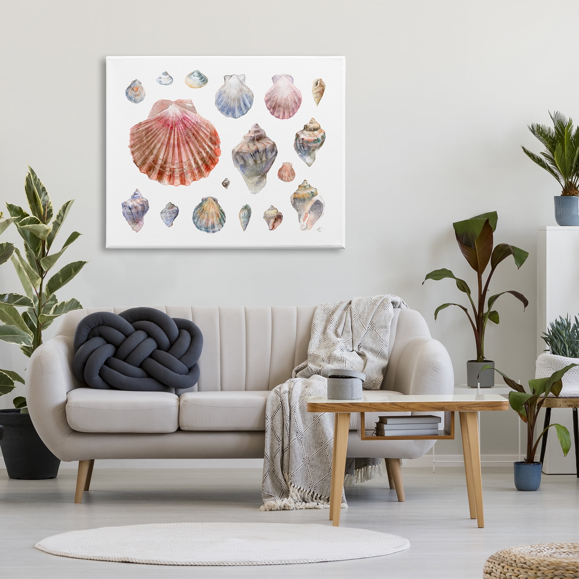 Stupell Industries Nautical Shell Watercolor Study Patterned Aquatic Life Nature Painting Gallery Wrapped Canvas Print Wall Art, 36 x 48