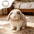 thumbnail image 1 of Collar de perro y gato con perlas falsas y bolas de cerámica suaves, ajustable, ligero, blanco, para mascotas pequeñas y medianas., 1 of 7