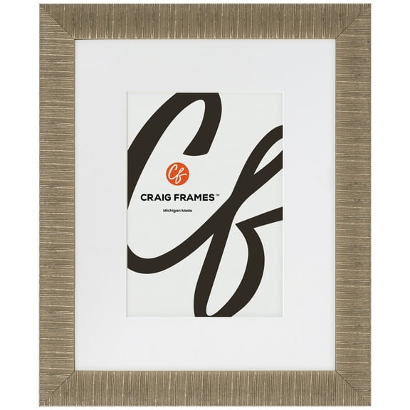Craig Frames Linear, 24x36 Picture Frame Matted for a 20x30 Photo, Aged Silver