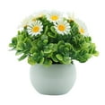 thumbnail image 2 of SPRING PARK Artificial Mini Potted Plants Plastic Faux Bonsai Plants for Bathroom Home Office Desk Decorations, 2 of 7