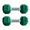 Green, variant on BESTSKY Mini Dumbbells Rubber Hex Chrome Handle, Anti-Roll, Anti-Slip, 5 Lb, Set of 2