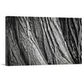 thumbnail image 1 of ARTCANVAS Tree Bark Home decor Canvas Art Print - Size: 18" x 12" (1.50" Deep), 1 of 9