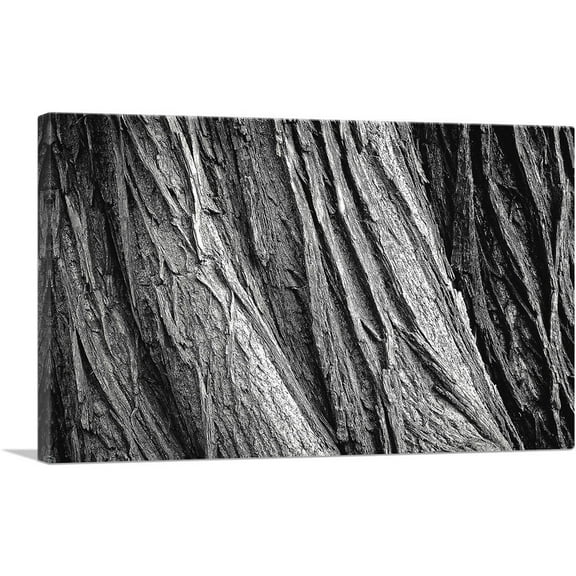ARTCANVAS Tree Bark Home decor Canvas Art Print - Size: 26" x 18" (0.75" Deep)
