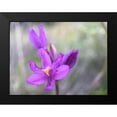 thumbnail image 2 of Popcorn 24x19 Black Modern Framed Museum Art Print Titled - Wildflowers XLXI, 2 of 5