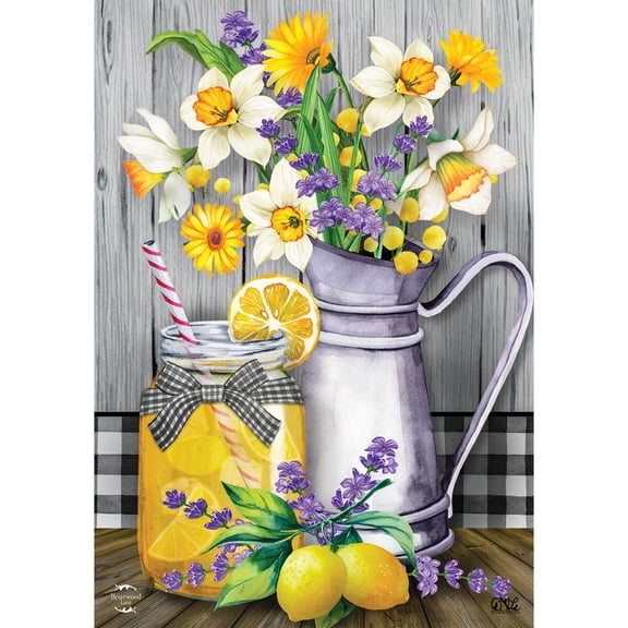 Briarwood Lane House Flag 40x28 For Outdoor Lemonade Summer For Summer House Flag