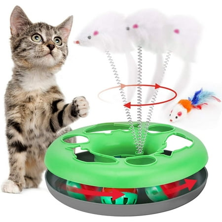 Cat Toys, Interactive Cat Toys for Indoor Cats, Kitten Toys Tracks with  Catnip, Spring Pet Toy with Roller Balls Teaser Mouse (Green) | Walmart  Canada