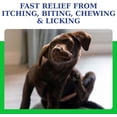 thumbnail image 3 of VetriMAX AtopiCream HC 1% Hydrocortisone Leave-On Conditioning Itch Relief Lotion for Dogs, Cats and Horses (8 Ounces), 3 of 6