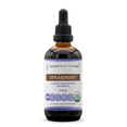 thumbnail image 3 of Secrets Of The Tribe Spearmint Organic Tincture Dietary Supplement, Natural Herbal Extract for Digestive Support, Certified Organic Spearmint (Mentha spicata) Dried Leaf, Alcohol-Free Extract, 4 oz, 3 of 9
