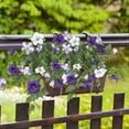 thumbnail image 5 of Artificial Fake Flowers Plants for Outdoor Decoration, Realistic Faux Petunias Silk Flower UV Resistant No Fade Floral for Home Outside Garden Balcony Yard Porch Indoor Decor, 1Pc(Purple,27x17"), 5 of 9