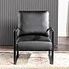 Modern Accent Chair with Durable Square Metal Frame