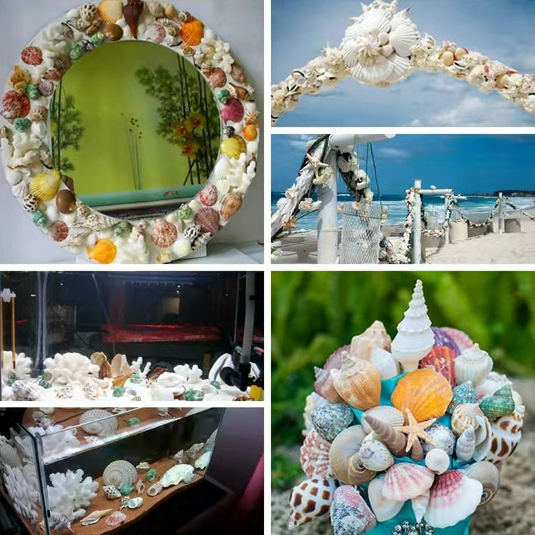 About 1300-1500 Sea Shell Ocean Beach Spiral Seashells Craft Charms 7-12mm  for Candle Making,,Beach Theme Party Wedding Decor,Fish Tank and Vase Fille