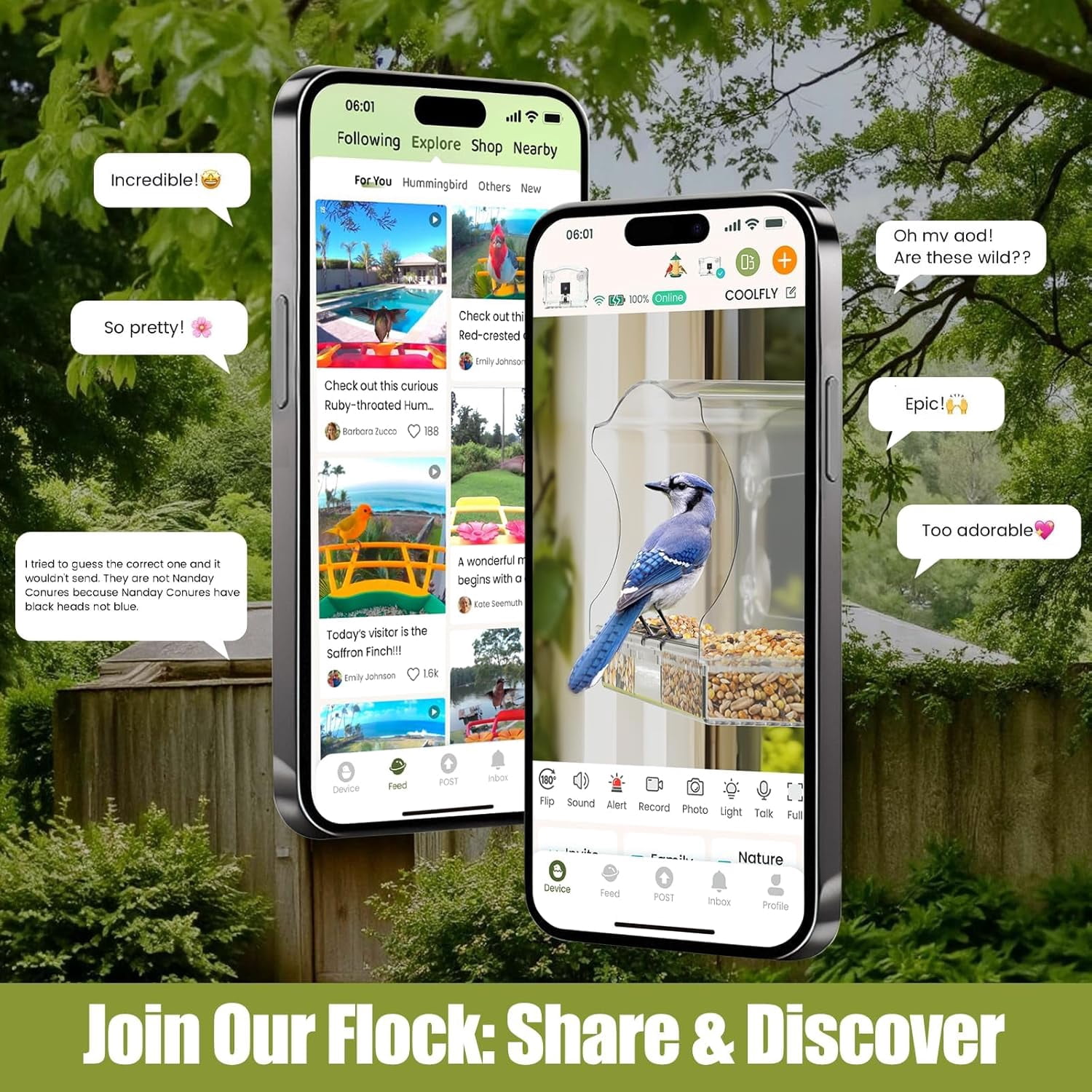Coolfly x Freeseason Smart Window Bird Feeder with 2K HD Camera, Suction Cup Mount for Apartments, Anti-Glare Video with AI Species ID & No Monthly Fees - Modern Flat Top Design