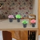 thumbnail image 3 of KAKOWELY 16 piezas de plantas en maceta en miniatura, mini suculentas, modelo de decoración para el hogar., 3 of 5