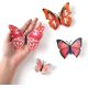 thumbnail image 3 of Decoración de mariposas 3D YONGSHENG 36 piezas pegatinas de pared, 3 of 4