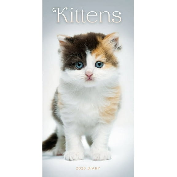 2026 Kittens Slim Diary Planner, (Paperback)