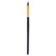 thumbnail image 1 of Cepillo ovalado Cuccio Perfection Sable - 569 Cepillo para las uñas Dama 1 Pc, 1 of 1