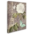 thumbnail image 2 of Trademark Fine Art "White Rose" Canvas Art by Color Bakery, 2 of 3