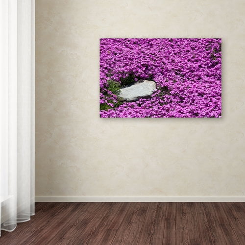 Trademark Fine Art "Island in Purple" Canvas Art by Kurt Shaffer