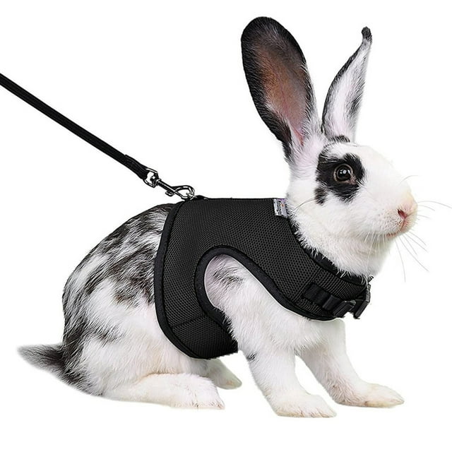 Flmtop Rabbit Harness Comfortable Adjustable Traction Tool Ferret Rats Hamster Soft Mesh Harness Leash Vest Set Pet Supplies