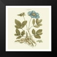 thumbnail image 2 of Miller, John 12x12 Black Modern Framed Museum Art Print Titled - Custom Bashful Blue Florals I, 2 of 5