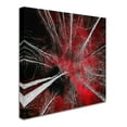 thumbnail image 2 of Trademark Fine Art "I Can't Believe It" Canvas Art by Philippe Sainte-Laudy, 2 of 4