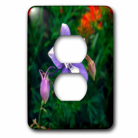 3dRose USA Colorado Rocky Mountains Yankee Boy Basin Columbine flower. 2 plug outlet cover