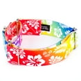2 Inch Hawaiian Rainbow Martingale Dog Collar, Extra Large