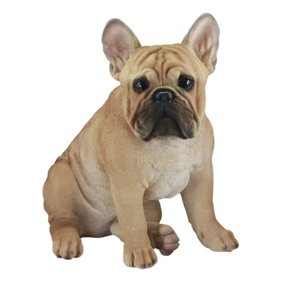 Ebros Large Lifelike Realistic French Bulldog Statue with Glass Eyes 15.75" Tall Frenchie Figurine