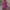 Hot Pink, variant on Yesqmun Shift Dress Tshirt Dress Women Fashionable And Half Sleeved Cotton And Linen Dress Casual Dresses for Women Modest Dresses for Women Blue L