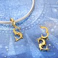 thumbnail image 3 of Dije Universal de Piscis Dorado Bañado en Plata, 3 of 7