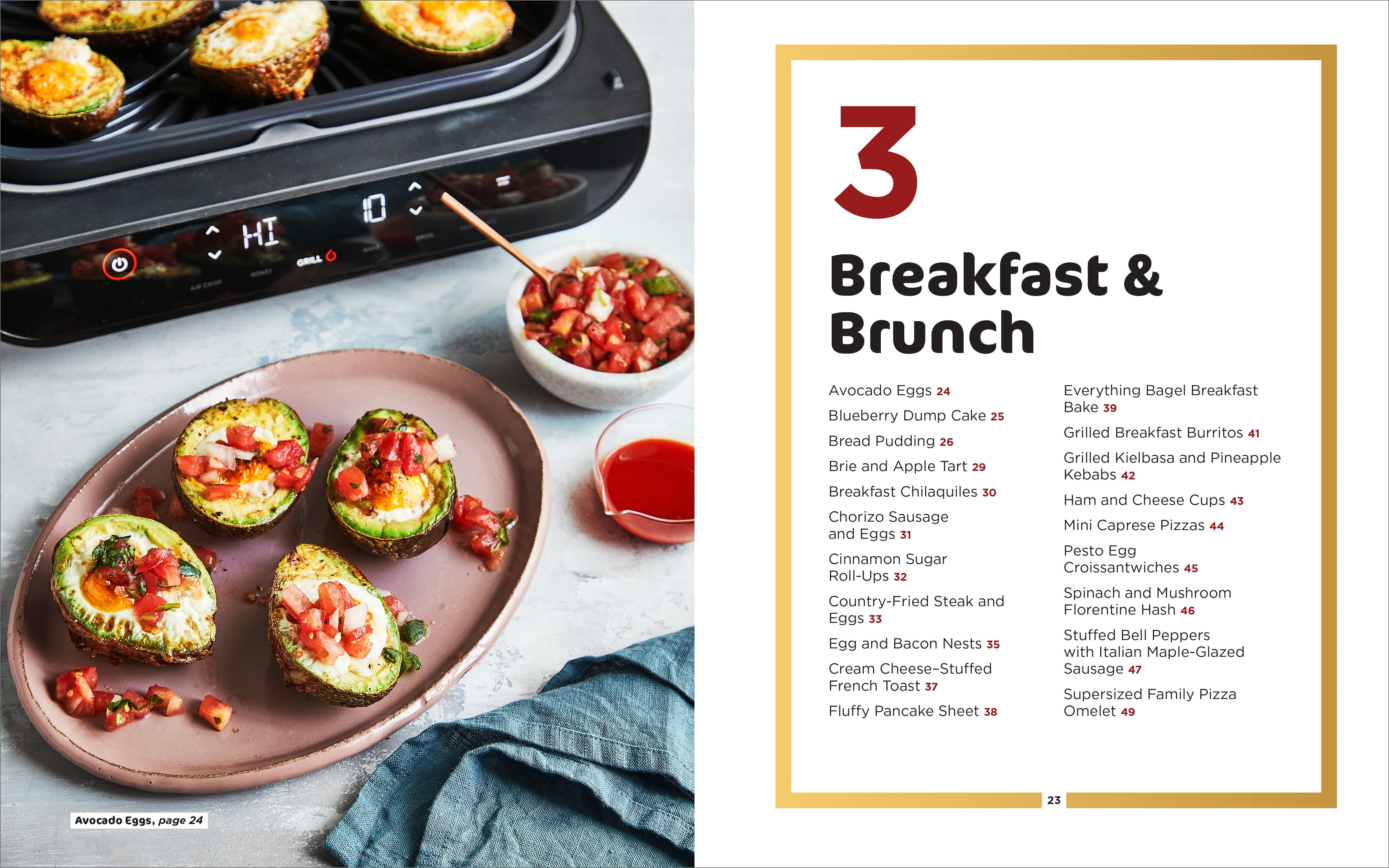 Ninja Foodi Smart XL Grill Cookbook 2021: Easy and Healthy Grill
