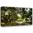 thumbnail image 1 of Alan Hausenflock 18x13 Gallery Wrapped Canvas Wall Art Titled - Charleston Oaks III, 1 of 4
