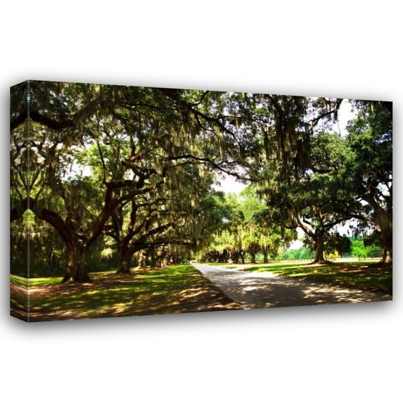 Alan Hausenflock 18x13 Gallery Wrapped Canvas Wall Art Titled - Charleston Oaks III