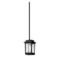 thumbnail image 2 of Artcraft Lighting Lustre Extérieur 1 Lumière, 2 of 2