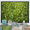 thumbnail image 2 of Designart "Oregano Hues of Herbs II" Extra Large Floral Framed Wall Art - Traditional Green Herbs Entryway Framed Wall Art Print, 2 of 7