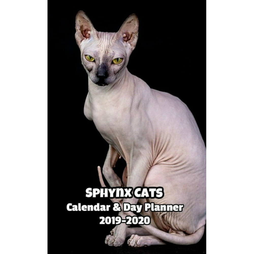 Sphynx Cats Calendar & Day Planner 20192020