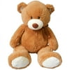 Valentine Plush Bear