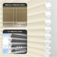 thumbnail image 5 of REGAL ESTATE , 12BOTTLE , Cordless 1.5" Light Filtering Top Down Bottom Up Cellular Shades, 57.5"W x 84"H, Alabaster, Blinds for Indoor Windows, Shades for Bedroom, Living room, 5 of 6