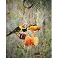 thumbnail image 7 of NOGIS Hanging Feeder Hummingbird Toy for Hens Pet Chicken Veggies Skewer Fruit Holder for Bird Hummingbird, 7 of 7