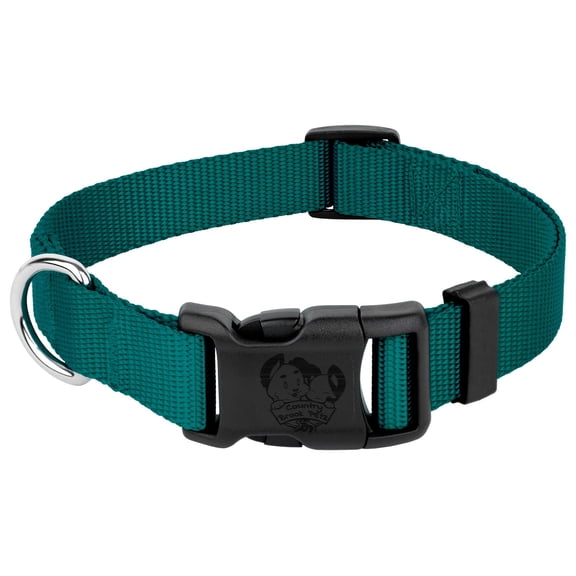 Country Brook Petz Everyday Teal Nylon Dog Collar, Small