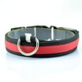 thumbnail image 2 of LED Dog Collar - Dog Walking Safe Collars for Pets, 2 of 3
