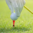 thumbnail image 2 of onlyliua ¡ ¡Promoción de Temporada! 100 Piezas de Clavos Madera En Golf, 83Mm, 2 of 3