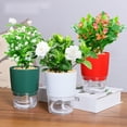 thumbnail image 3 of Automatic Water-absorbing Planter, Self-watering Pot, Smart Growing System, Modern Home Decor, for Indoor Plants, Substrate-Free Hydration, Easy Maintenance, Compact Design, Office-Travel Akmoler, 3 of 7