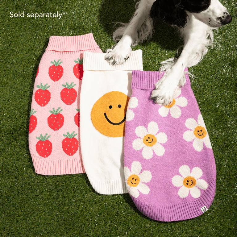 it-dogsデイジーカーディガン　XS Oodles Purple Daisy Dreams Turtle Neck Fall Dog Sweater, Small