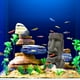 thumbnail image 5 of Decoración del hogar, cueva de escape de pecera Gnobogi, decoración de estilo europeo, castillo antiguo, decoración de pecera, casa de escape de peces y camarones, 2 piezas en liquidación, 5 of 7