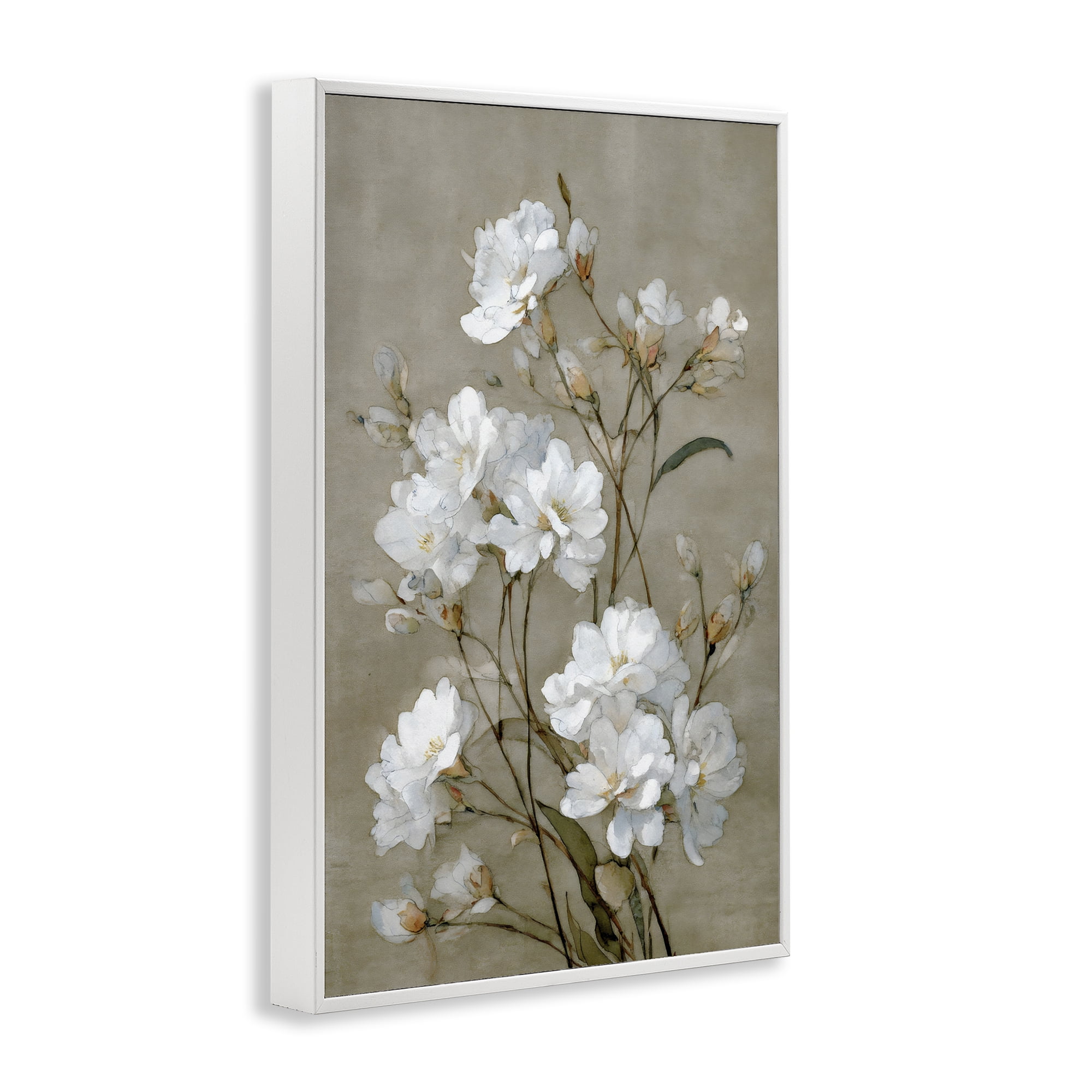 Stupell Industries Aged White Botanical Study White Framed Giclee Art, design by Petal Prints Design